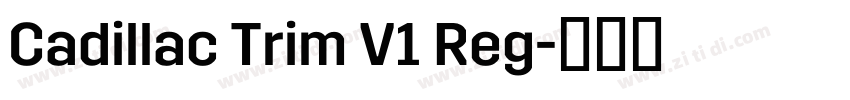 Cadillac Trim V1 Reg字体转换
